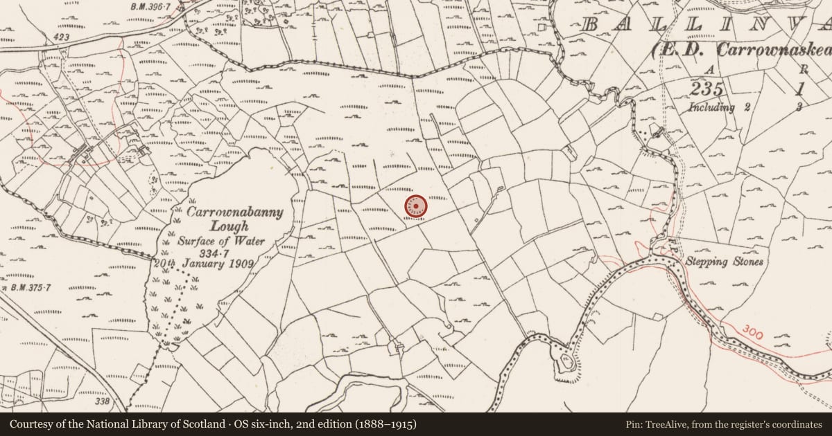 Ordnance Survey six-inch map, 2nd edition (1888–1915) covering the location of Ringfort - rath, Carrownabanny, County Sligo, with a pin at the register's coordinates