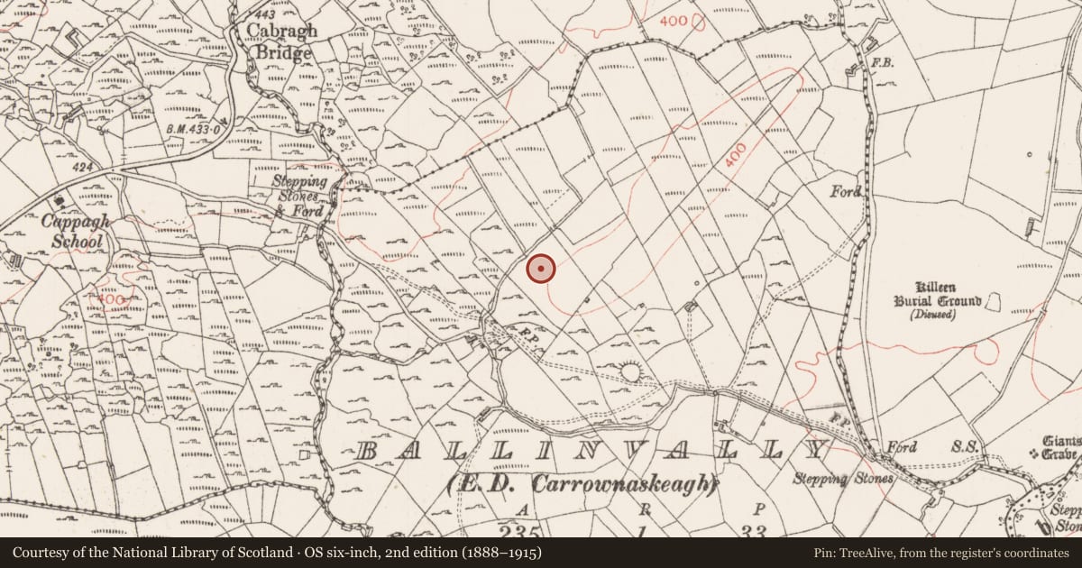 Ordnance Survey six-inch map, 2nd edition (1888–1915) covering the location of Megalithic tomb - unclassified, Ballinvally, County Sligo, with a pin at the register's coordinates