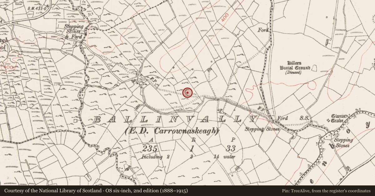Ordnance Survey six-inch map, 2nd edition (1888–1915) covering the location of Souterrain, Ballinvally, County Sligo, with a pin at the register's coordinates