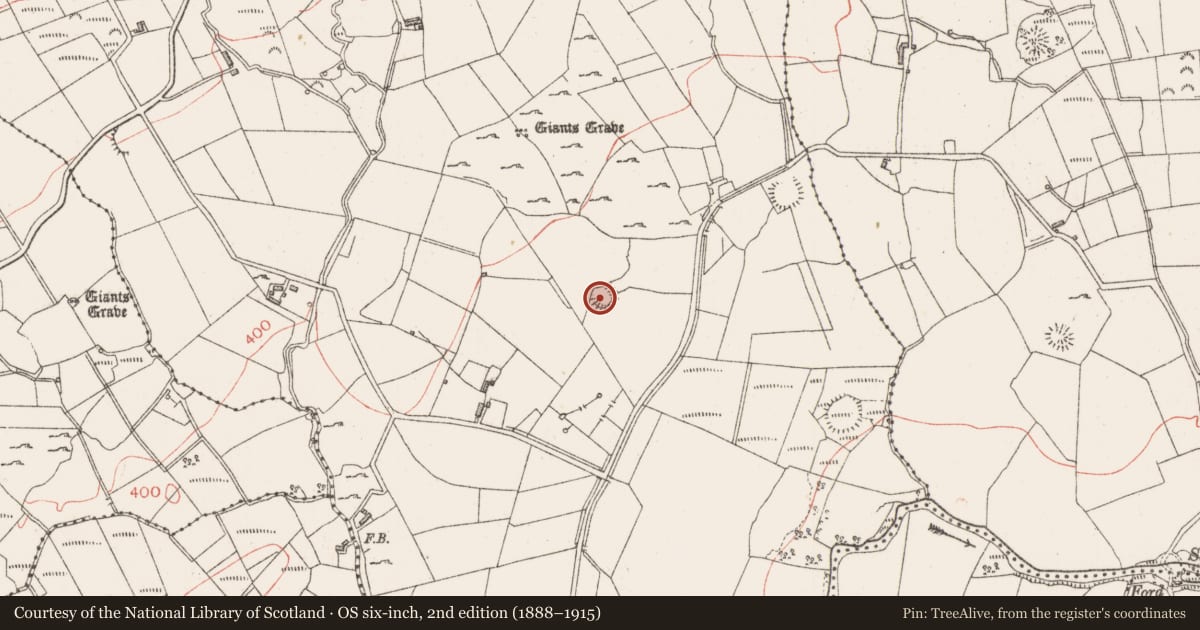 Ordnance Survey six-inch map, 2nd edition (1888–1915) covering the location of Souterrain, Gortakeeran, County Sligo, with a pin at the register's coordinates