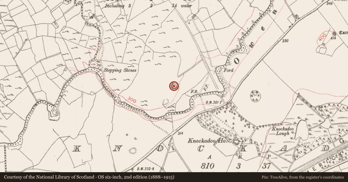Ordnance Survey six-inch map, 2nd edition (1888–1915) covering the location of Ringfort - rath, Ballinvally, County Sligo, with a pin at the register's coordinates
