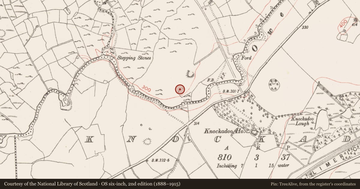 Ordnance Survey six-inch map, 2nd edition (1888–1915) covering the location of Ringfort - rath, Ballinvally, County Sligo, with a pin at the register's coordinates