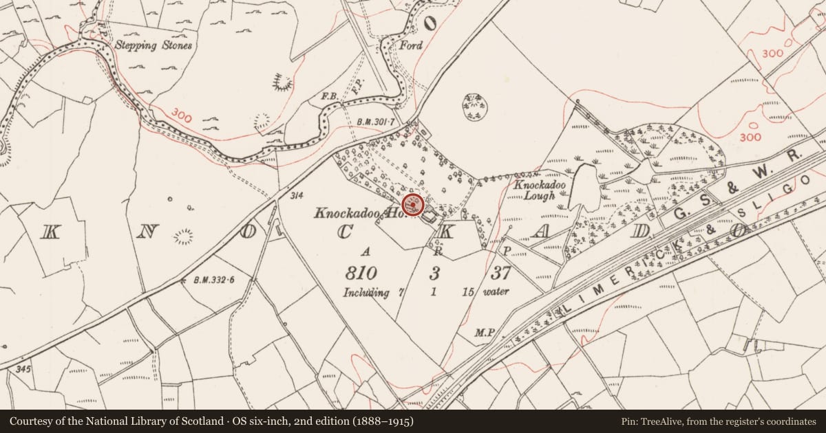 Ordnance Survey six-inch map, 2nd edition (1888–1915) covering the location of Ringfort - rath, Knockadoo, County Sligo, with a pin at the register's coordinates