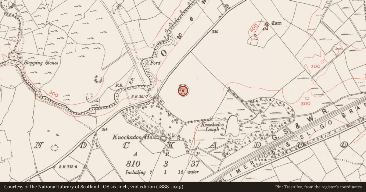 Ordnance Survey six-inch map, 2nd edition (1888–1915) covering the location of Ringfort - rath, Knockadoo, County Sligo, with a pin at the register's coordinates