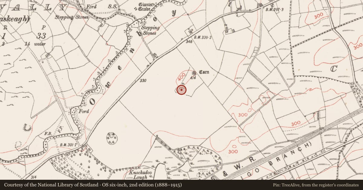 Ordnance Survey six-inch map, 2nd edition (1888–1915) covering the location of Ringfort - rath, Knockadoo, County Sligo, with a pin at the register's coordinates