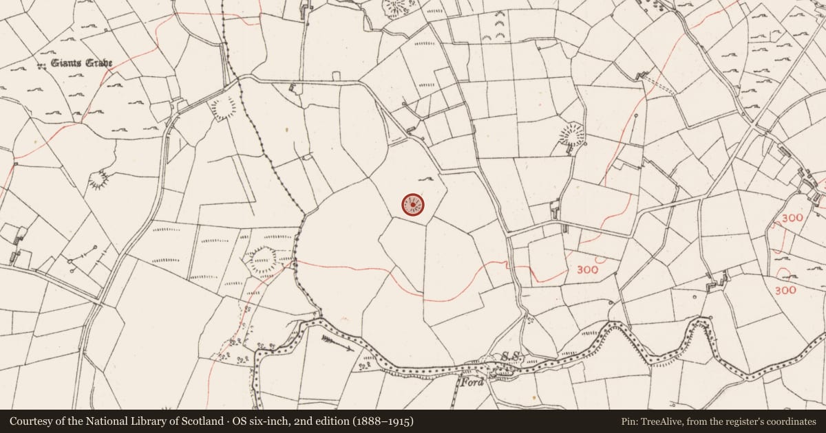 Ordnance Survey six-inch map, 2nd edition (1888–1915) covering the location of Ringfort - rath, Carrowgavneen, County Sligo, with a pin at the register's coordinates