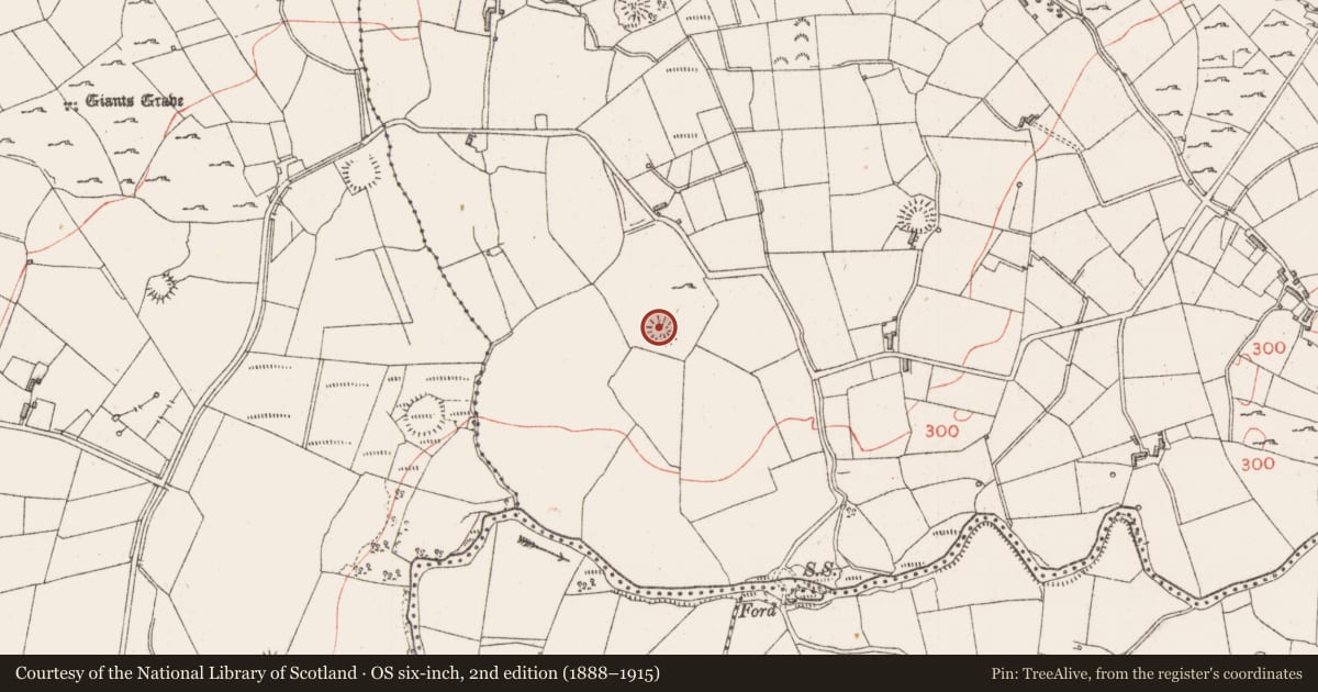 Ordnance Survey six-inch map, 2nd edition (1888–1915) covering the location of Hut site, Carrowgavneen, County Sligo, with a pin at the register's coordinates