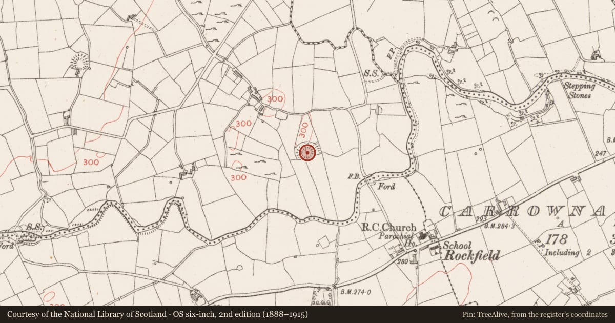 Ordnance Survey six-inch map, 2nd edition (1888–1915) covering the location of Ringfort - rath, Carrowgavneen, County Sligo, with a pin at the register's coordinates