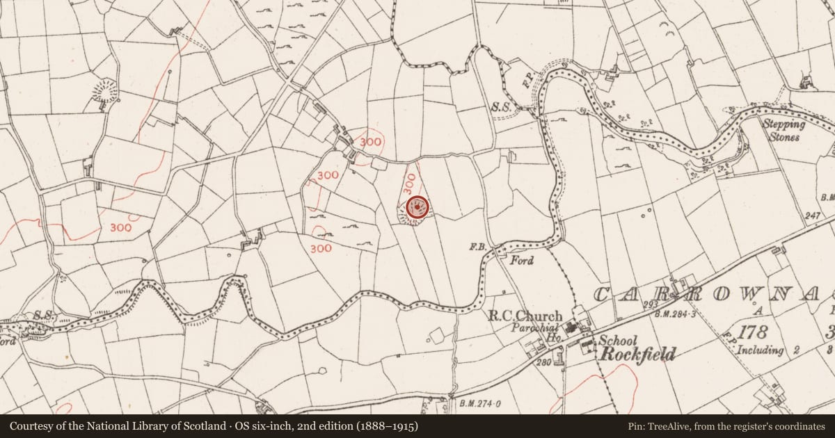 Ordnance Survey six-inch map, 2nd edition (1888–1915) covering the location of Souterrain, Carrowgavneen, County Sligo, with a pin at the register's coordinates