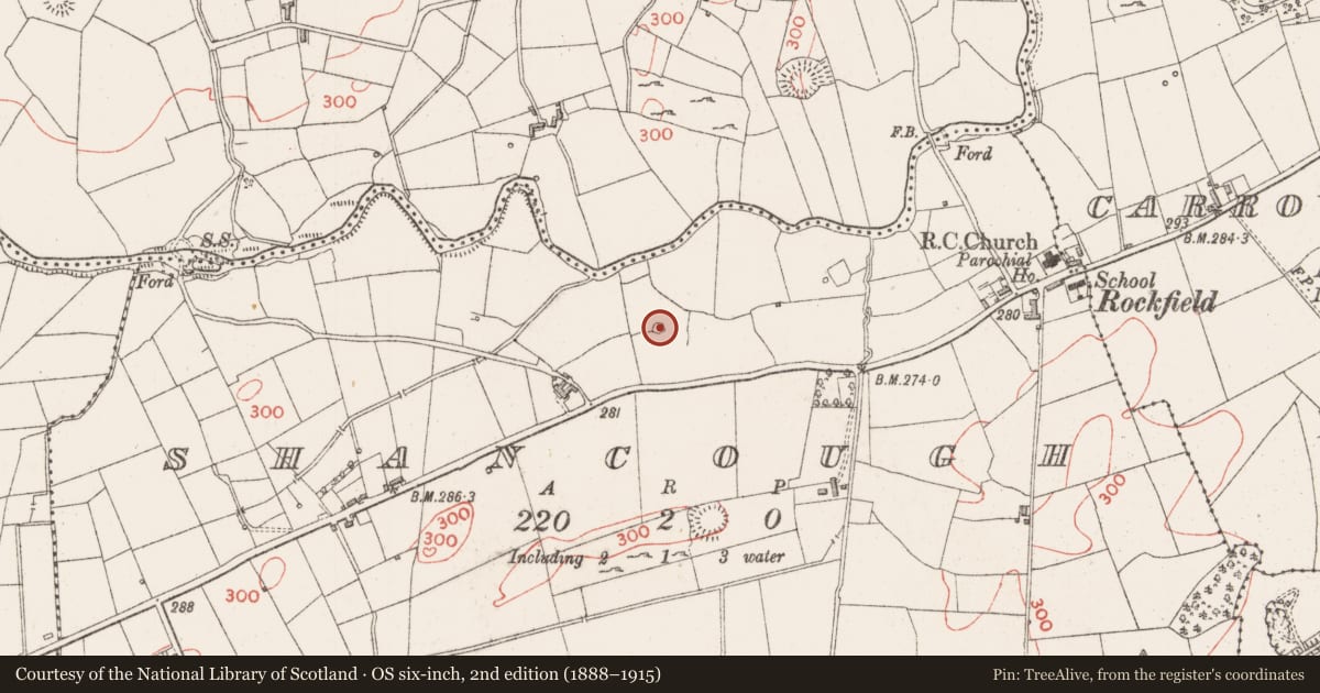 Ordnance Survey six-inch map, 2nd edition (1888–1915) covering the location of Enclosure, Shancough, County Sligo, with a pin at the register's coordinates