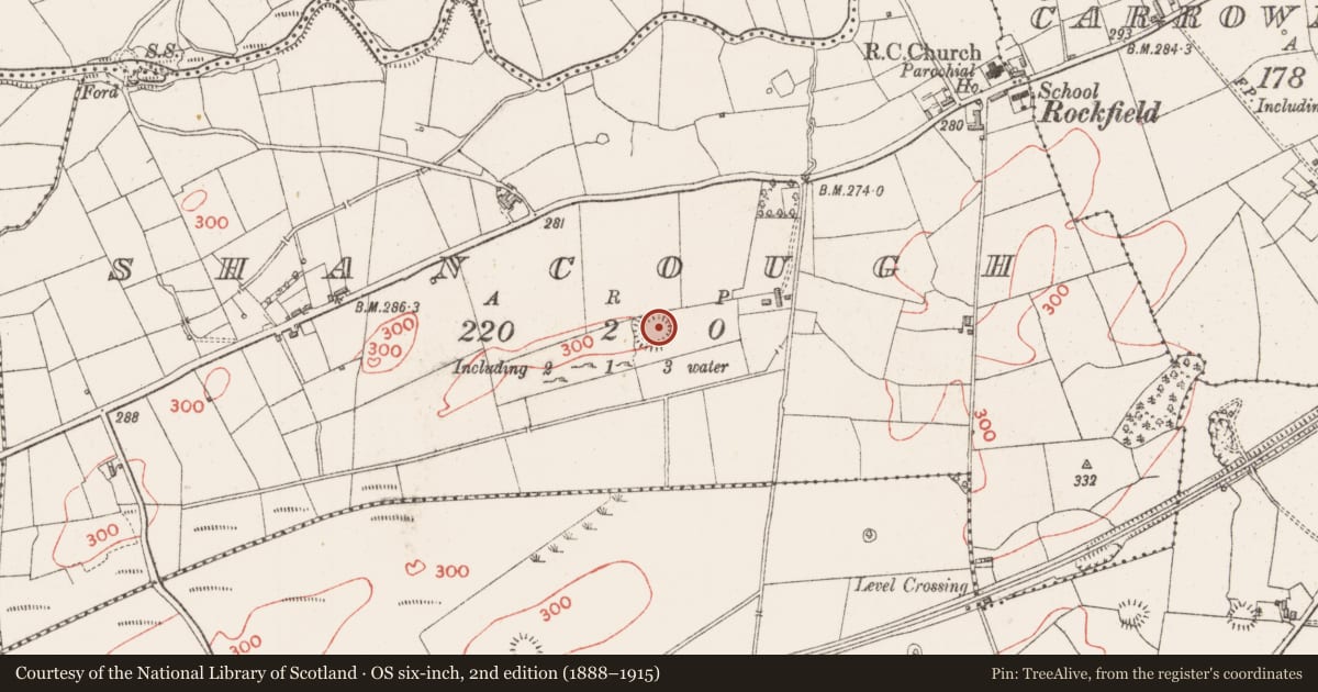 Ordnance Survey six-inch map, 2nd edition (1888–1915) covering the location of Hut site, Shancough, County Sligo, with a pin at the register's coordinates