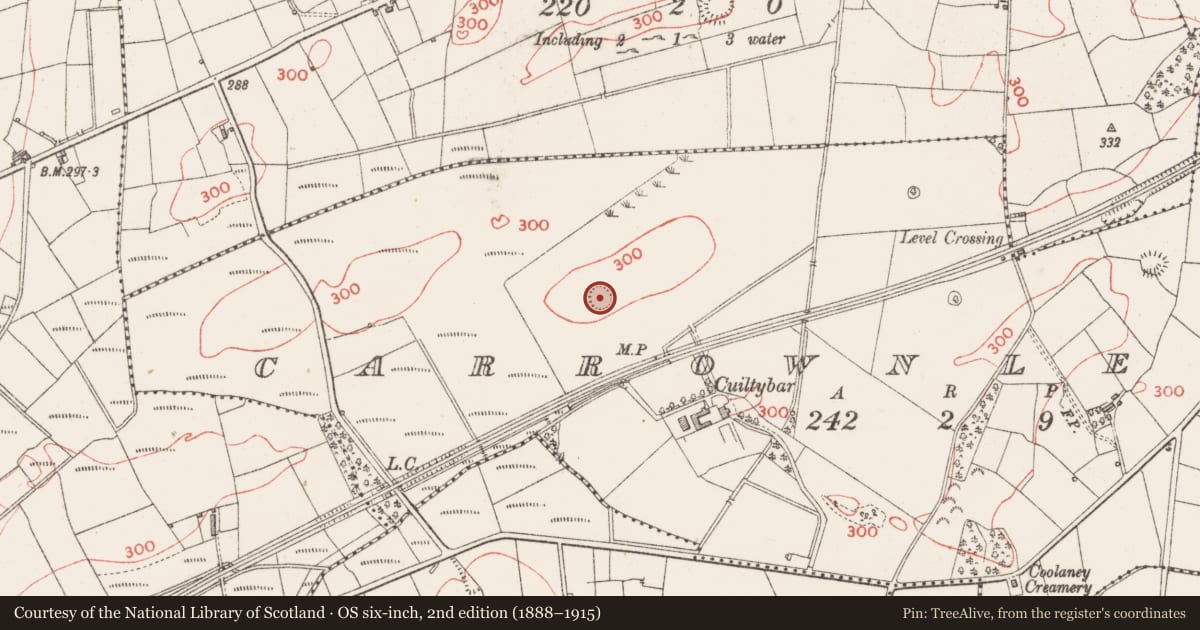 Ordnance Survey six-inch map, 2nd edition (1888–1915) covering the location of Ringfort - rath, Carrownleam, County Sligo, with a pin at the register's coordinates