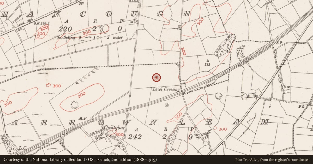Ordnance Survey six-inch map, 2nd edition (1888–1915) covering the location of Ringfort - cashel, Carrownleam, County Sligo, with a pin at the register's coordinates