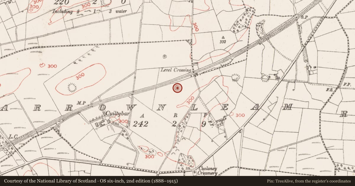 Ordnance Survey six-inch map, 2nd edition (1888–1915) covering the location of Ringfort - cashel, Carrownleam, County Sligo, with a pin at the register's coordinates
