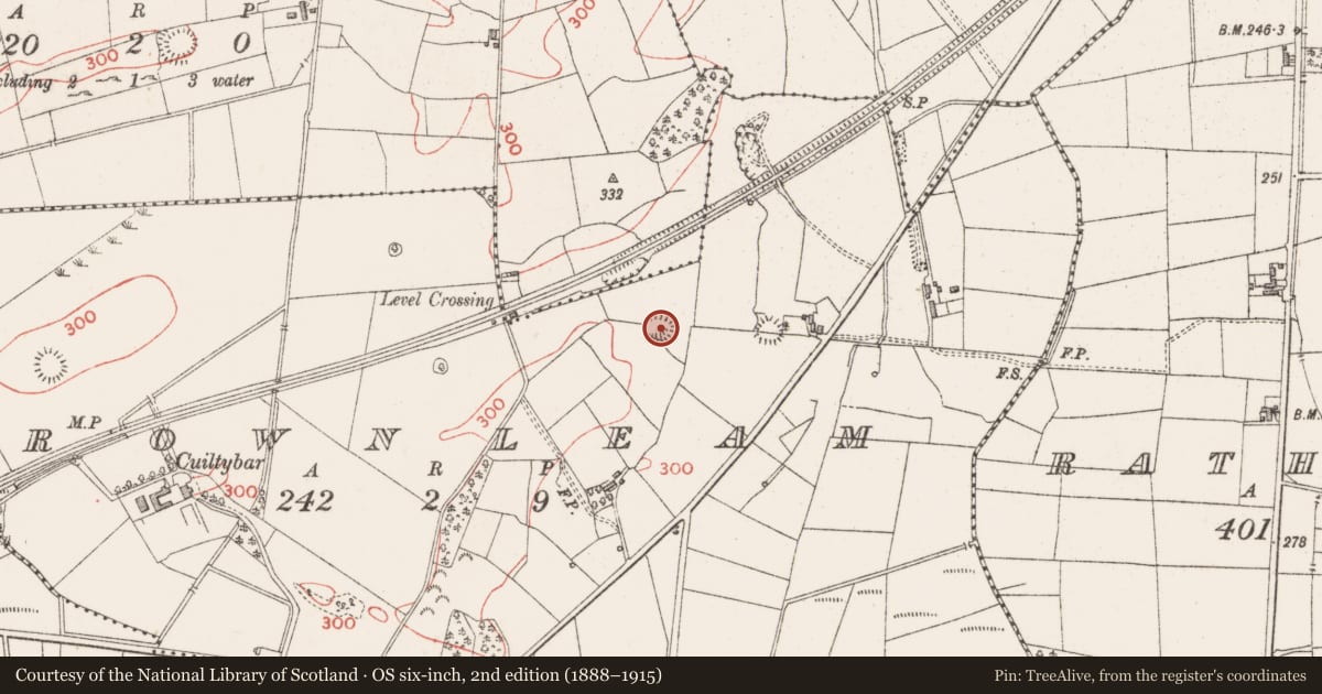 Ordnance Survey six-inch map, 2nd edition (1888–1915) covering the location of Ringfort - rath, Carrownleam, County Sligo, with a pin at the register's coordinates