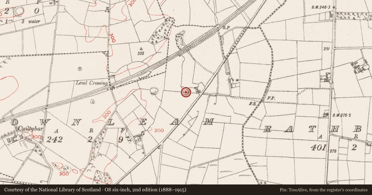 Ordnance Survey six-inch map, 2nd edition (1888–1915) covering the location of Ringfort - rath, Carrownleam, County Sligo, with a pin at the register's coordinates