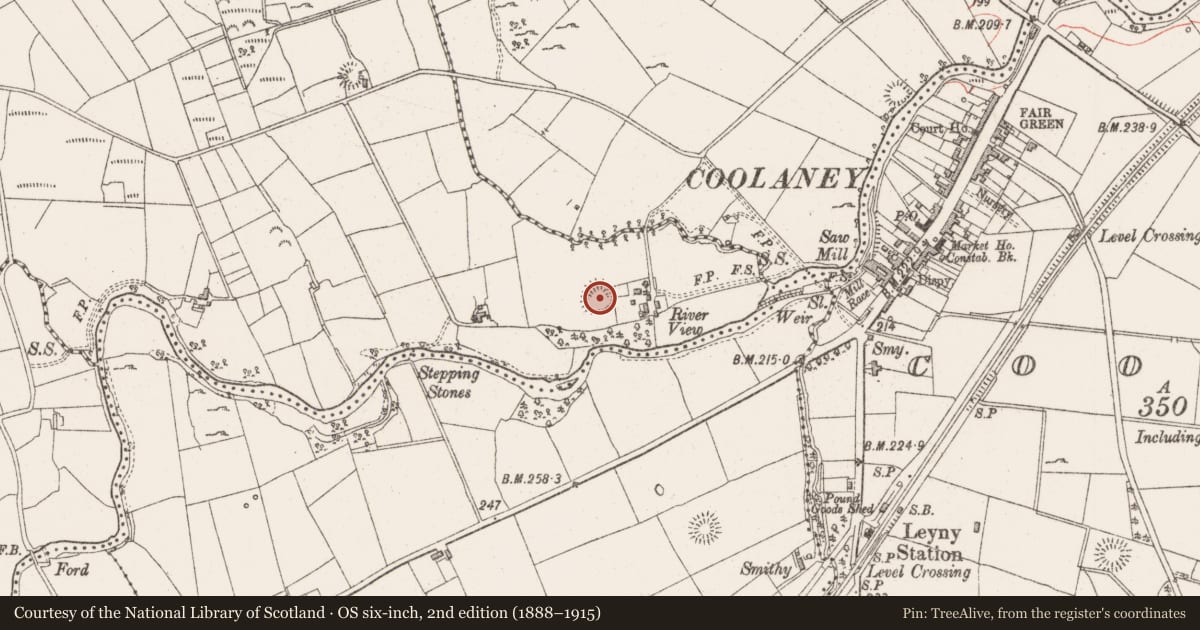 Ordnance Survey six-inch map, 2nd edition (1888–1915) covering the location of Ringfort - rath, Seevness, County Sligo, with a pin at the register's coordinates