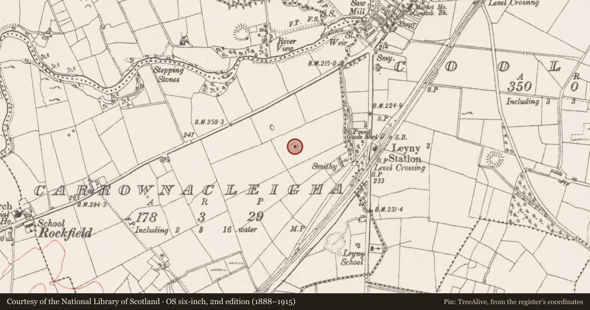 Ordnance Survey six-inch map, 2nd edition (1888–1915) covering the location of Ringfort - rath, Carrownacleigha, County Sligo, with a pin at the register's coordinates
