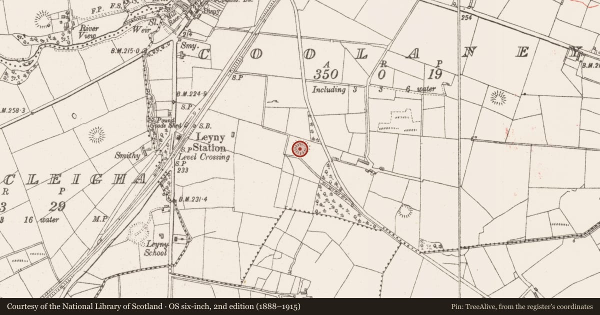Ordnance Survey six-inch map, 2nd edition (1888–1915) covering the location of Ringfort - rath, Coolaney, County Sligo, with a pin at the register's coordinates