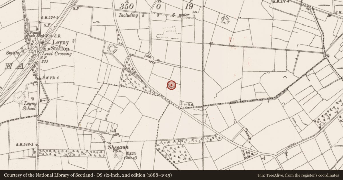 Ordnance Survey six-inch map, 2nd edition (1888–1915) covering the location of Ringfort - rath, Coolaney, County Sligo, with a pin at the register's coordinates