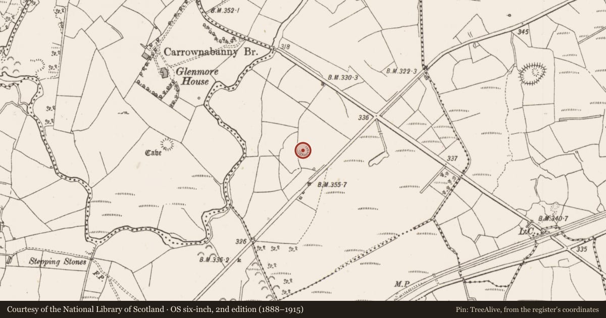 Ordnance Survey six-inch map, 2nd edition (1888–1915) covering the location of Ringfort - rath, Carrownabanny, County Sligo, with a pin at the register's coordinates