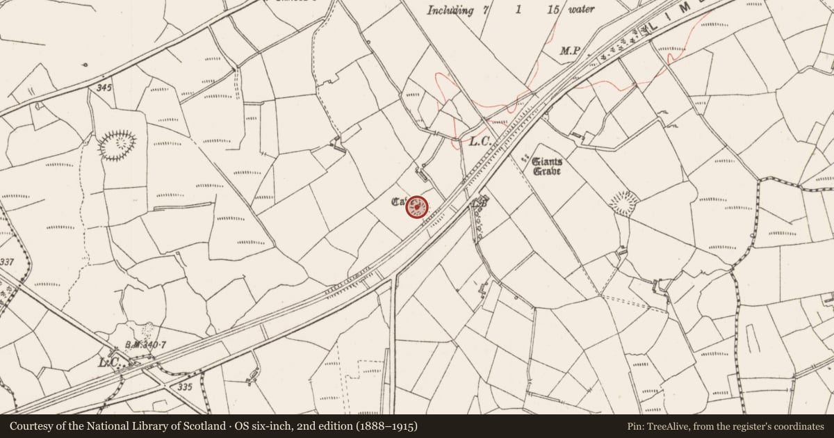 Ordnance Survey six-inch map, 2nd edition (1888–1915) covering the location of Ringfort - rath, Knockadoo, County Sligo, with a pin at the register's coordinates