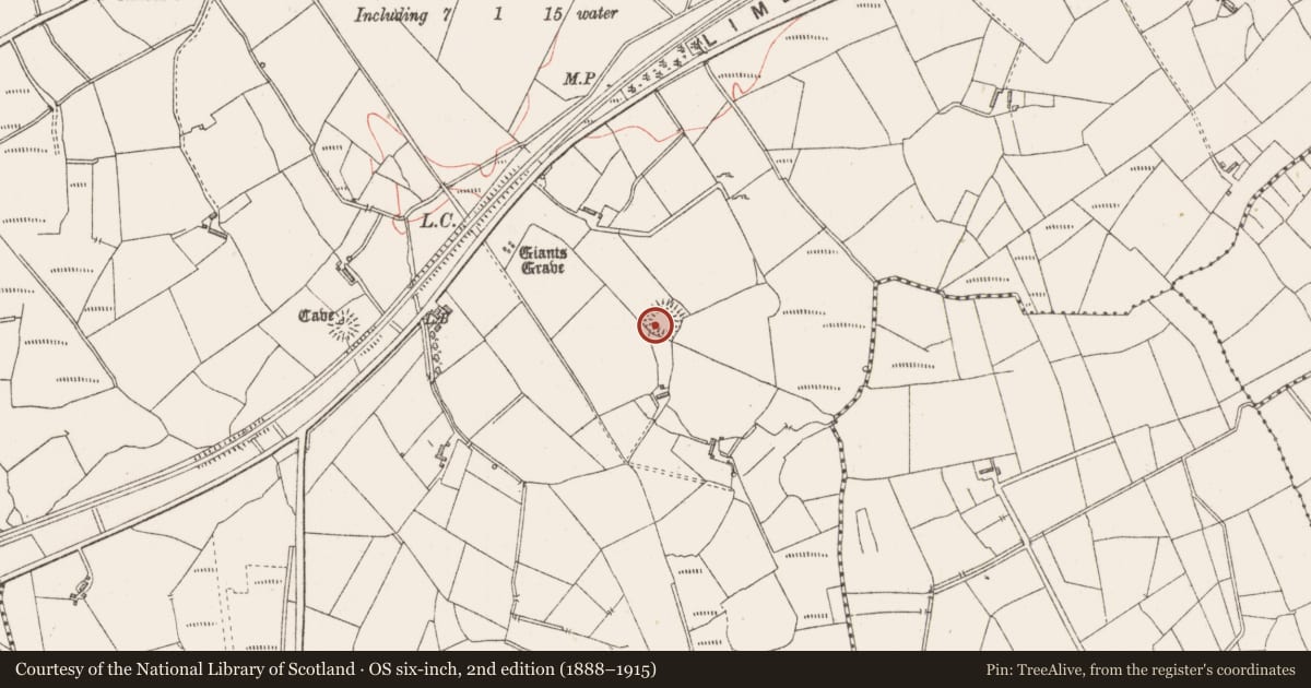 Ordnance Survey six-inch map, 2nd edition (1888–1915) covering the location of Souterrain, Knockadoo, County Sligo, with a pin at the register's coordinates