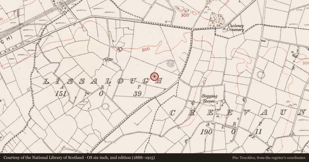 Ordnance Survey six-inch map, 2nd edition (1888–1915) covering the location of Barrow - mound barrow, Lissalough, County Sligo, with a pin at the register's coordinates