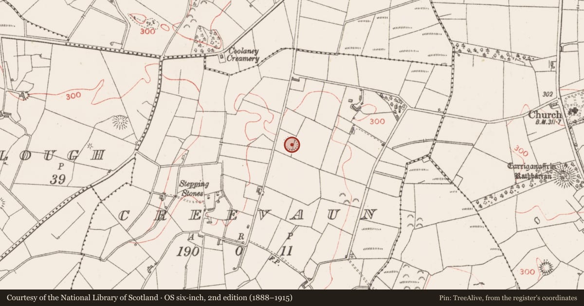 Ordnance Survey six-inch map, 2nd edition (1888–1915) covering the location of Ringfort - rath, Creevaun, County Sligo, with a pin at the register's coordinates
