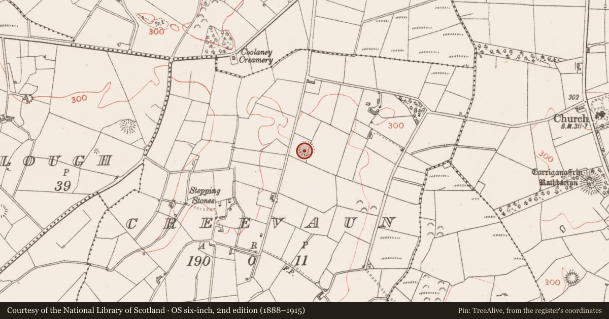 Ordnance Survey six-inch map, 2nd edition (1888–1915) covering the location of Souterrain, Creevaun, County Sligo, with a pin at the register's coordinates