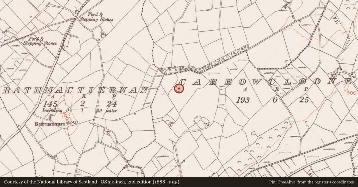 Ordnance Survey six-inch map, 2nd edition (1888–1915) covering the location of Ringfort - rath, Carrowclooneen, County Sligo, with a pin at the register's coordinates