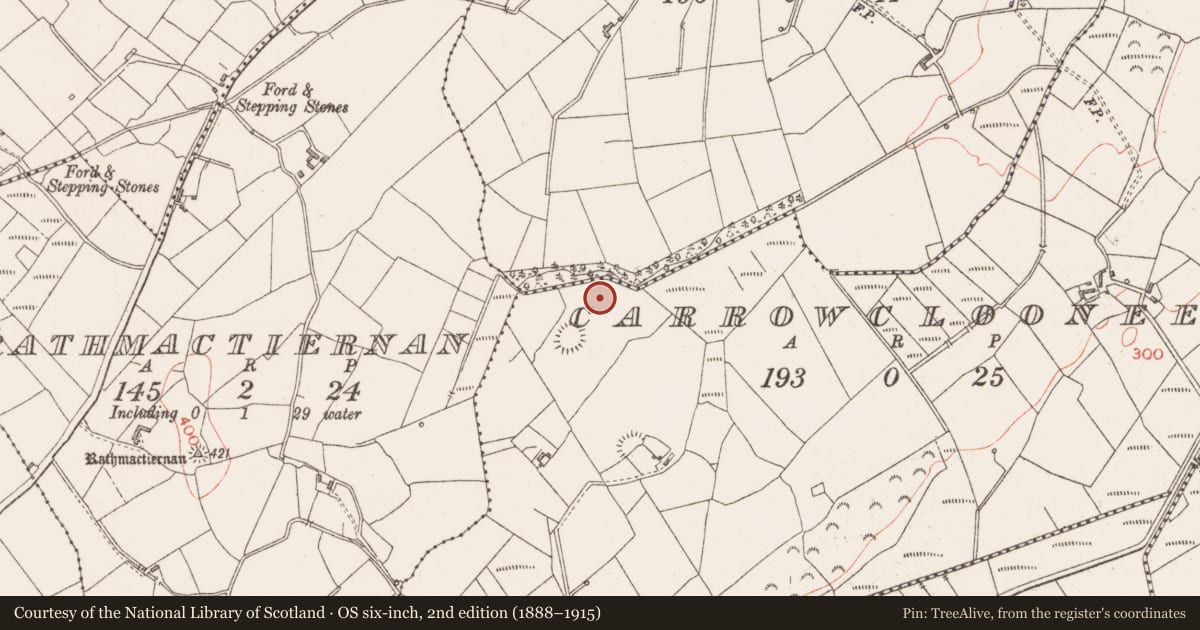 Ordnance Survey six-inch map, 2nd edition (1888–1915) covering the location of Kiln - lime, Carrowclooneen, County Sligo, with a pin at the register's coordinates
