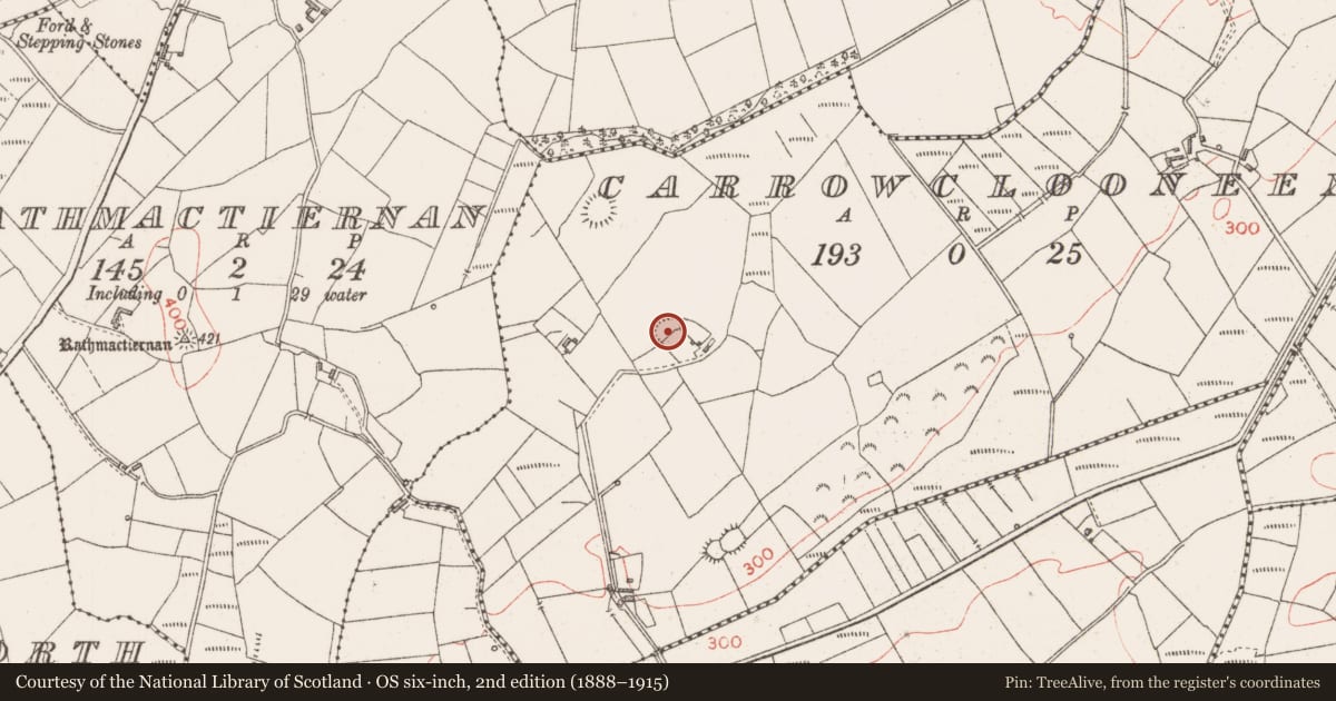 Ordnance Survey six-inch map, 2nd edition (1888–1915) covering the location of Ringfort - rath, Carrowclooneen, County Sligo, with a pin at the register's coordinates