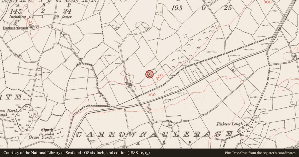Ordnance Survey six-inch map, 2nd edition (1888–1915) covering the location of Ringfort - rath, Carrowclooneen, County Sligo, with a pin at the register's coordinates