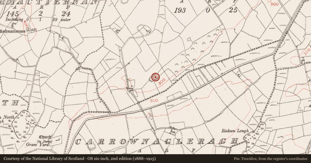 Ordnance Survey six-inch map, 2nd edition (1888–1915) covering the location of Ringfort - rath, Carrowclooneen, County Sligo, with a pin at the register's coordinates