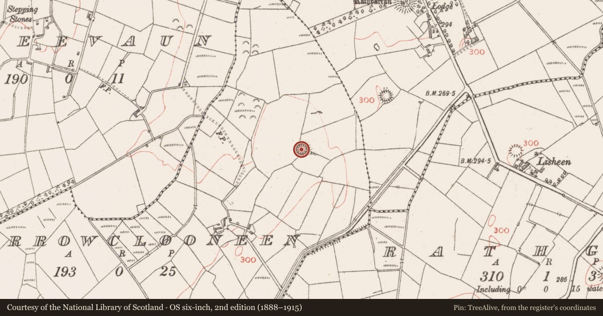 Ordnance Survey six-inch map, 2nd edition (1888–1915) covering the location of Ringfort - rath, Carrowclooneen, County Sligo, with a pin at the register's coordinates
