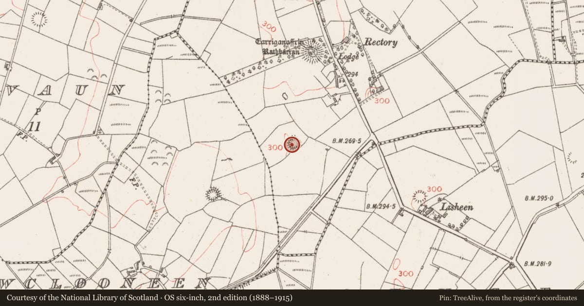 Ordnance Survey six-inch map, 2nd edition (1888–1915) covering the location of Ringfort - rath, Rathbarran, County Sligo, with a pin at the register's coordinates
