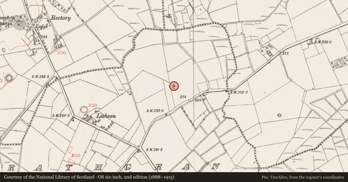 Ordnance Survey six-inch map, 2nd edition (1888–1915) covering the location of Ringfort - rath, Rathgran, County Sligo, with a pin at the register's coordinates