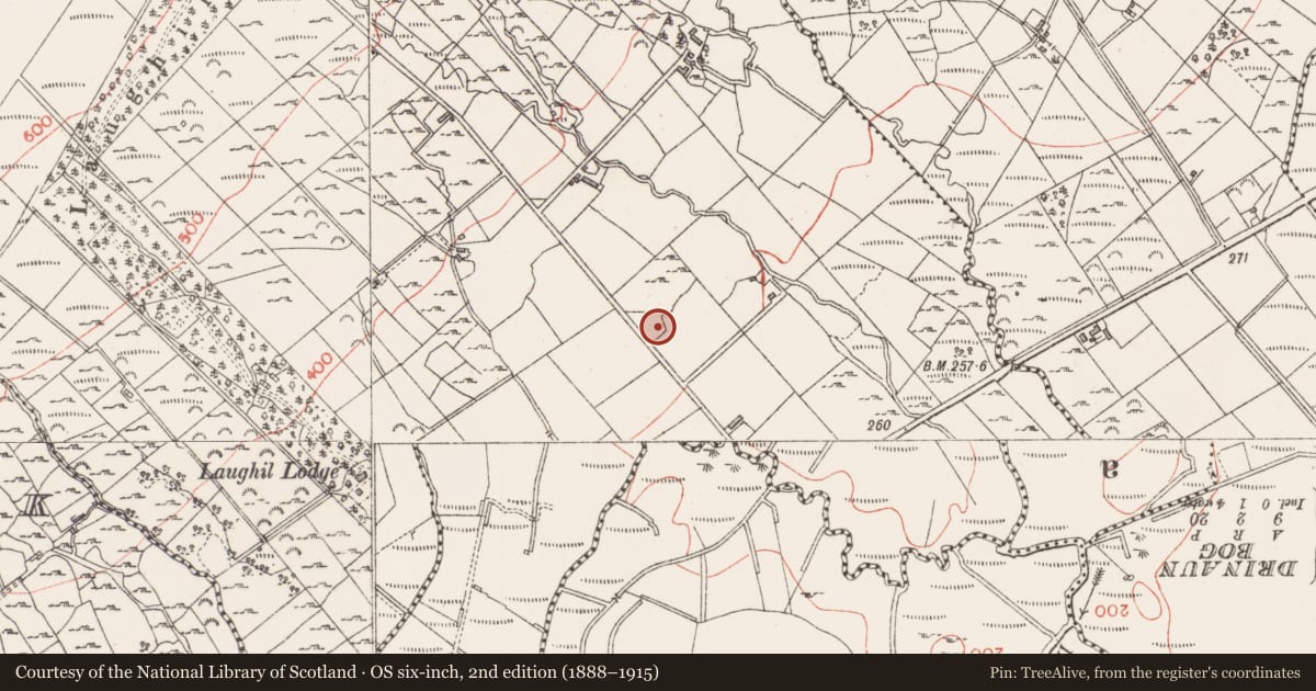 Ordnance Survey six-inch map, 2nd edition (1888–1915) covering the location of Ringfort - rath, Laughil, County Sligo, with a pin at the register's coordinates