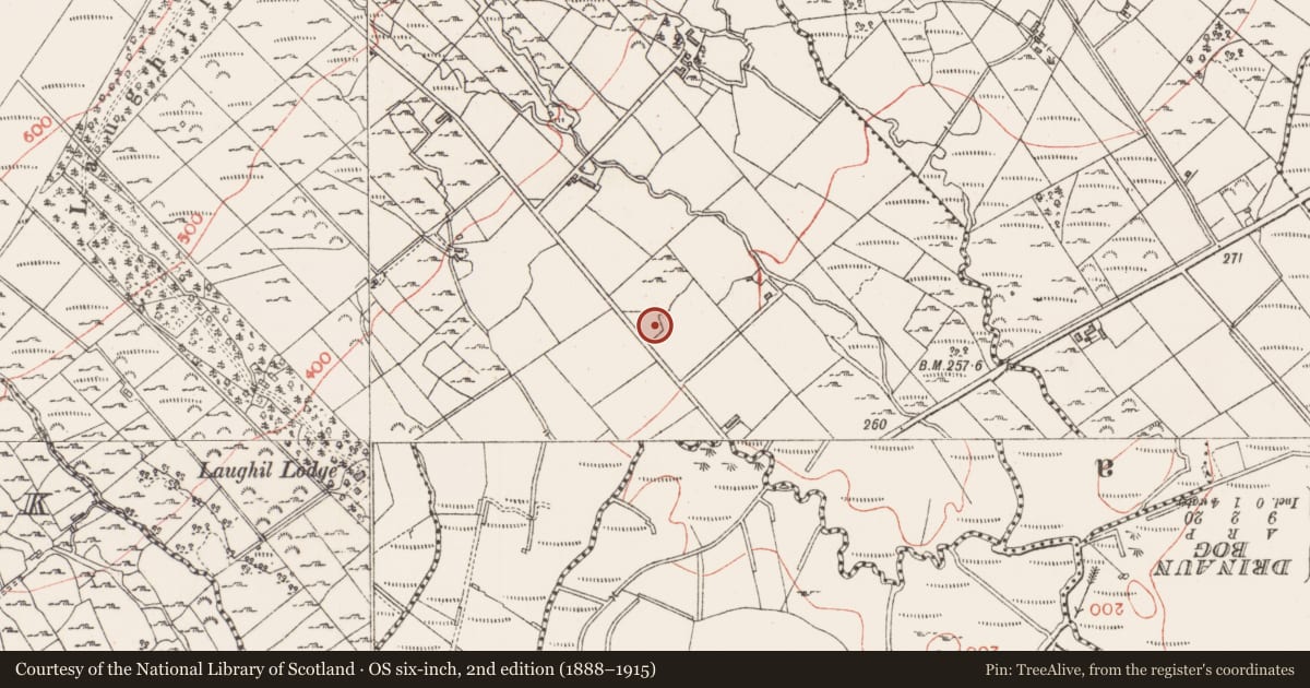Ordnance Survey six-inch map, 2nd edition (1888–1915) covering the location of Souterrain, Laughil, County Sligo, with a pin at the register's coordinates