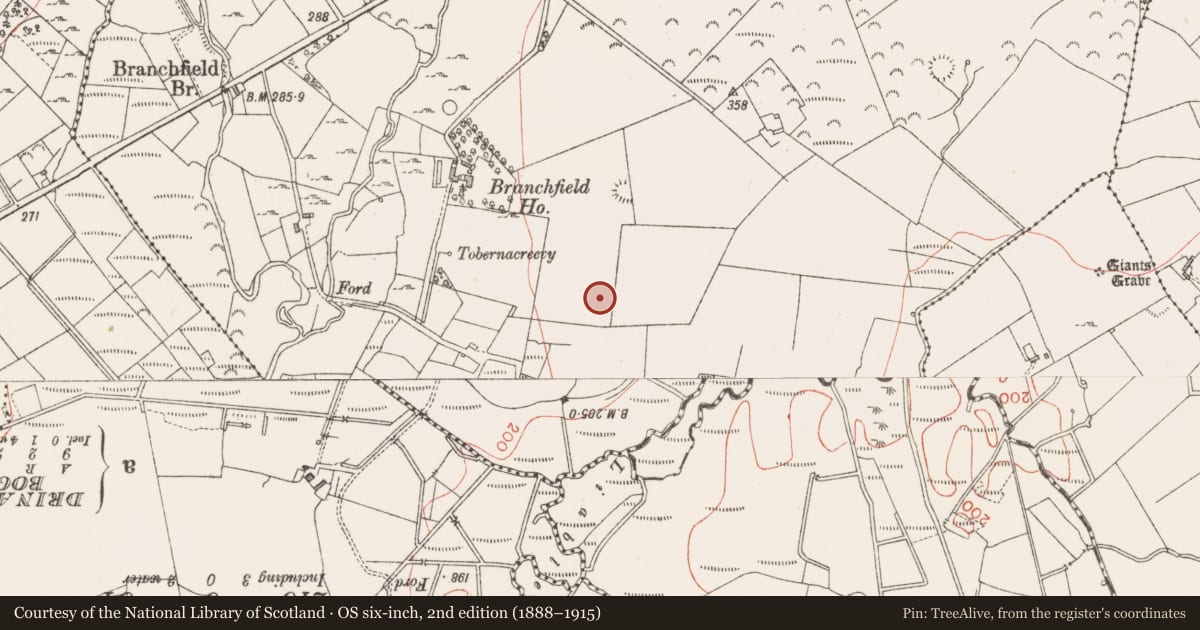 Ordnance Survey six-inch map, 2nd edition (1888–1915) covering the location of Ringfort - rath, Carrownacreevy, County Sligo, with a pin at the register's coordinates