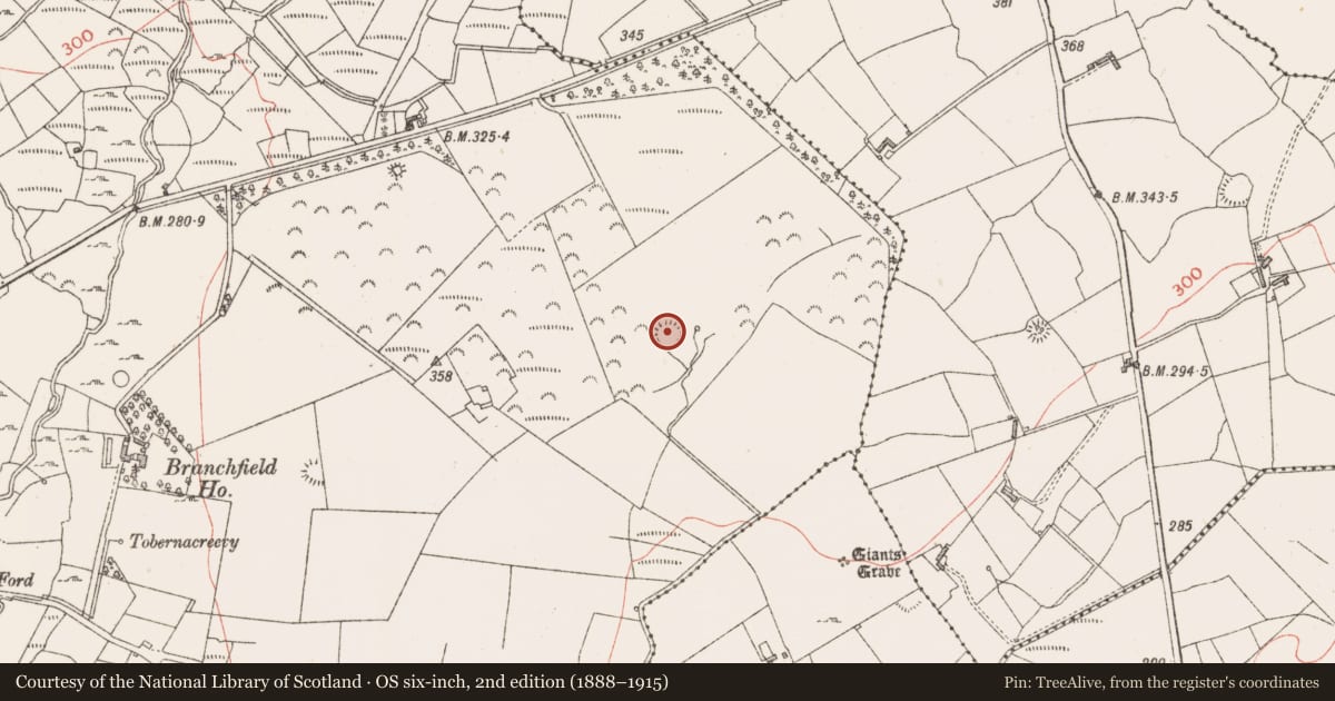 Ordnance Survey six-inch map, 2nd edition (1888–1915) covering the location of Ringfort - rath, Carrownacreevy, County Sligo, with a pin at the register's coordinates
