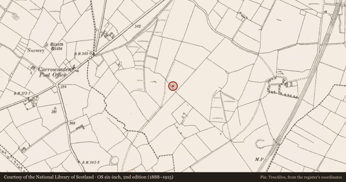Ordnance Survey six-inch map, 2nd edition (1888–1915) covering the location of Ringfort - rath, Carrowmurray, County Sligo, with a pin at the register's coordinates
