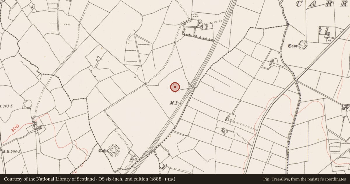 Ordnance Survey six-inch map, 2nd edition (1888–1915) covering the location of Ringfort - rath, Carrowmurray, County Sligo, with a pin at the register's coordinates