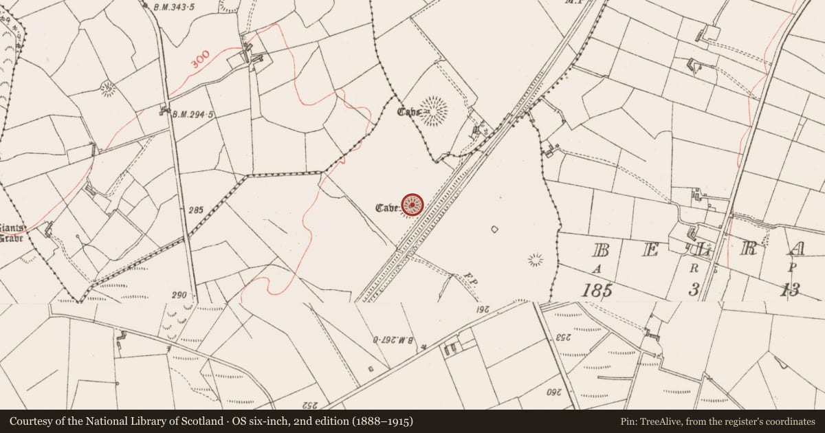 Ordnance Survey six-inch map, 2nd edition (1888–1915) covering the location of Ringfort - rath, Cashel North, County Sligo, with a pin at the register's coordinates