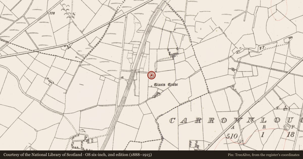 Ordnance Survey six-inch map, 2nd edition (1888–1915) covering the location of Enclosure, Carrowmurray, County Sligo, with a pin at the register's coordinates