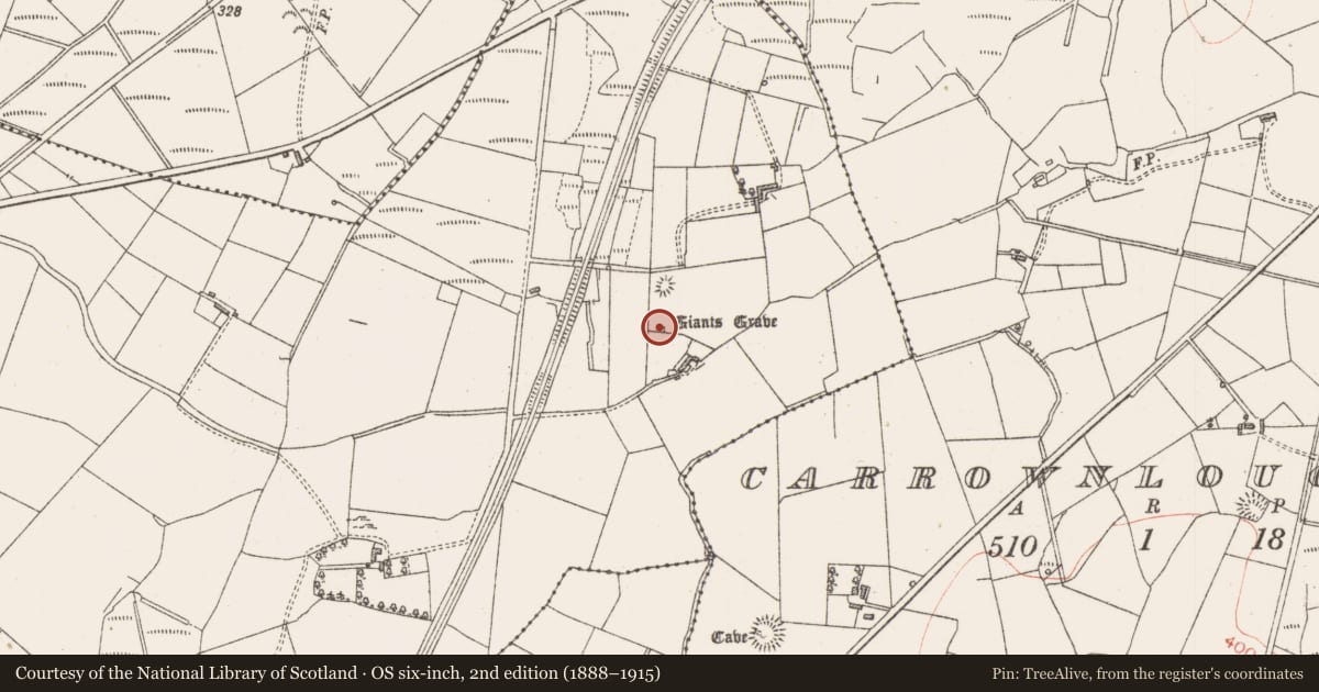 Ordnance Survey six-inch map, 2nd edition (1888–1915) covering the location of Megalithic tomb - wedge tomb, Carrowmurray, County Sligo, with a pin at the register's coordinates