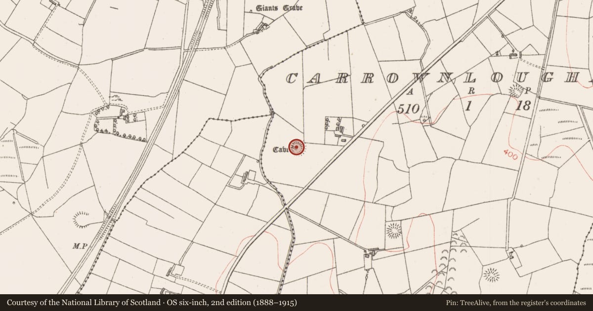 Ordnance Survey six-inch map, 2nd edition (1888–1915) covering the location of Ringfort - rath, Carrownloughan, County Sligo, with a pin at the register's coordinates