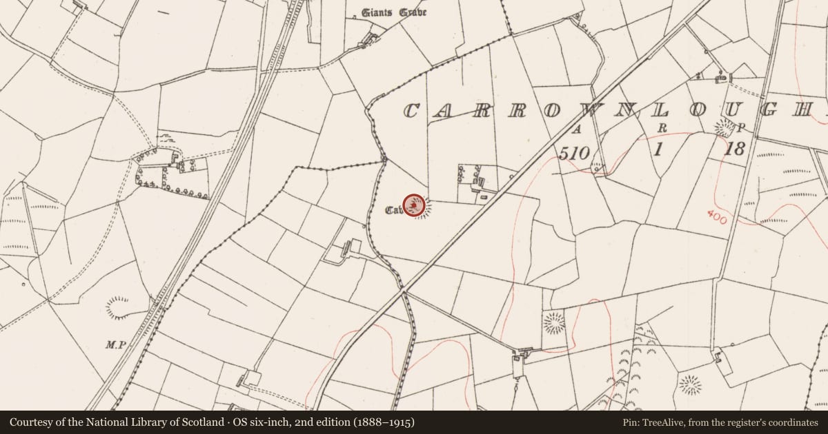 Ordnance Survey six-inch map, 2nd edition (1888–1915) covering the location of Souterrain, Carrownloughan, County Sligo, with a pin at the register's coordinates