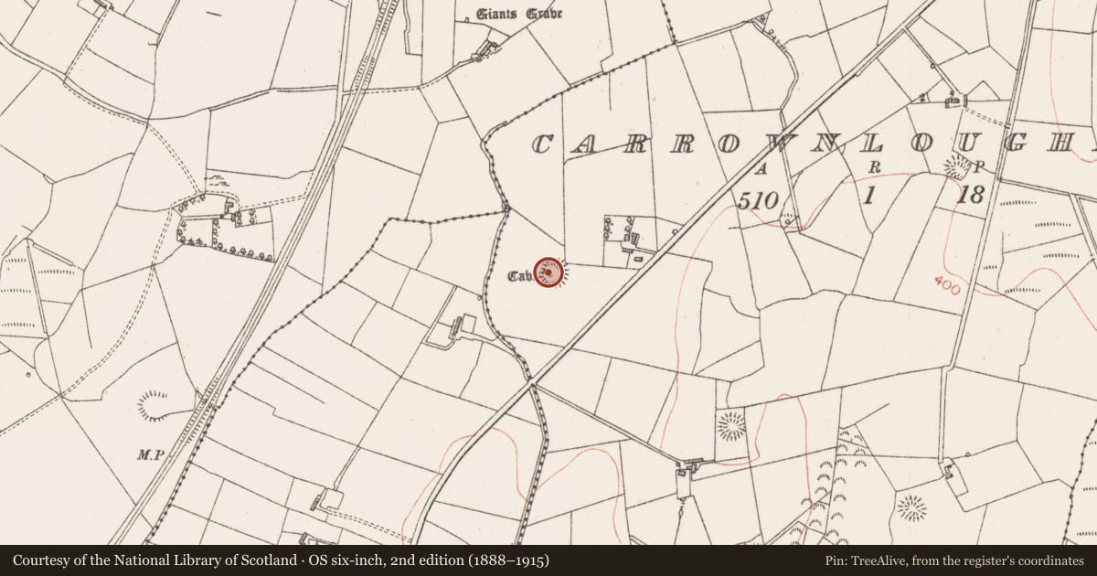 Ordnance Survey six-inch map, 2nd edition (1888–1915) covering the location of Hut site, Carrownloughan, County Sligo, with a pin at the register's coordinates